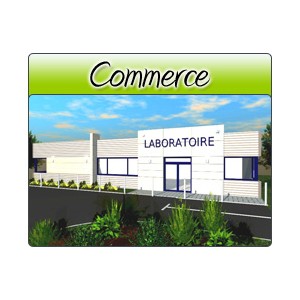 Commerce - Com09