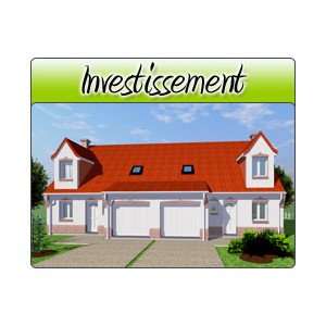 Investissement - Inv03