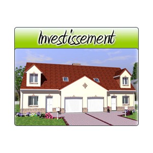 Investissement - Inv06
