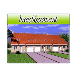 Investissement - Inv11