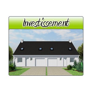 Investissement - Inv17
